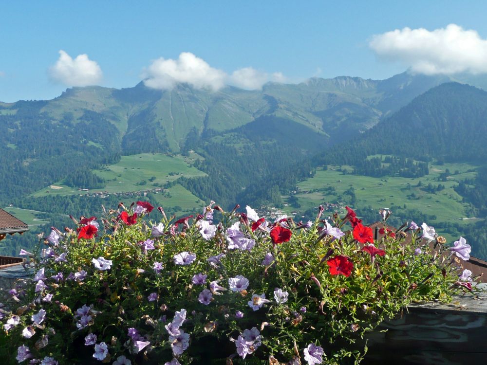 Blick über das Tal Schanfigg