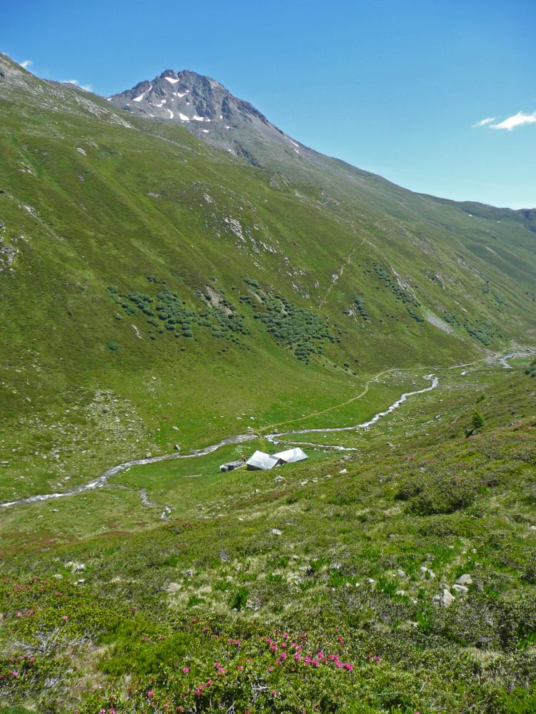 Blick auf Alp Fless Dadaint