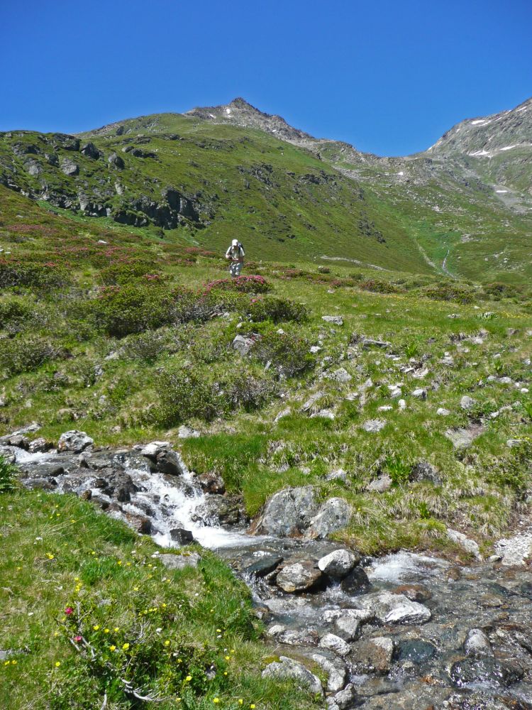 Abstieg zur Alp Fless Dadaint