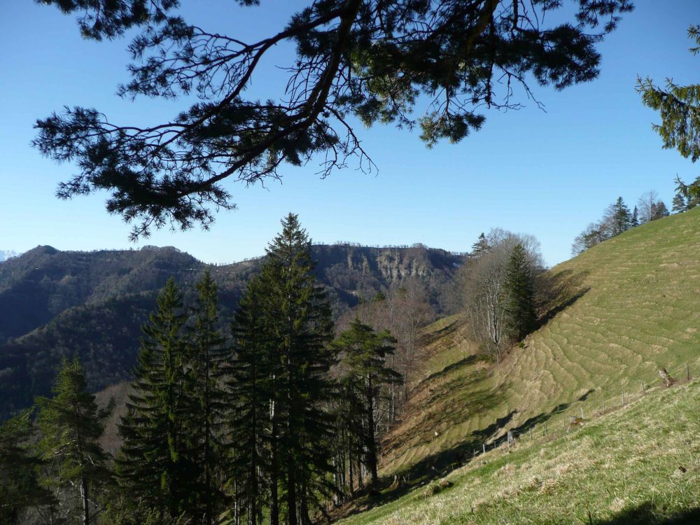 Blick zum Grat Schnebelhorn - Chrüzegg