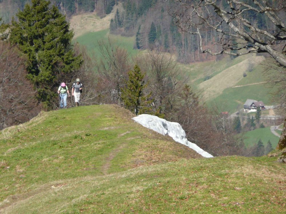 Nordgrat Schnebelhorn