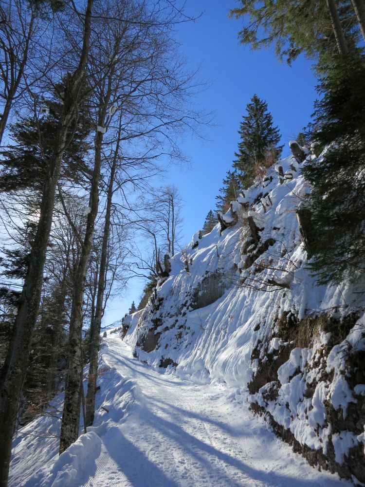 Winterwanderweg Klösterliweg