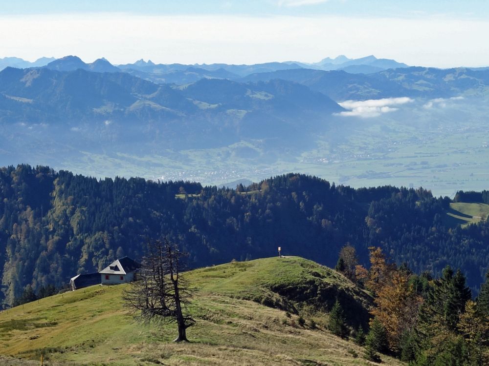 Oberhohwald mit Alpen