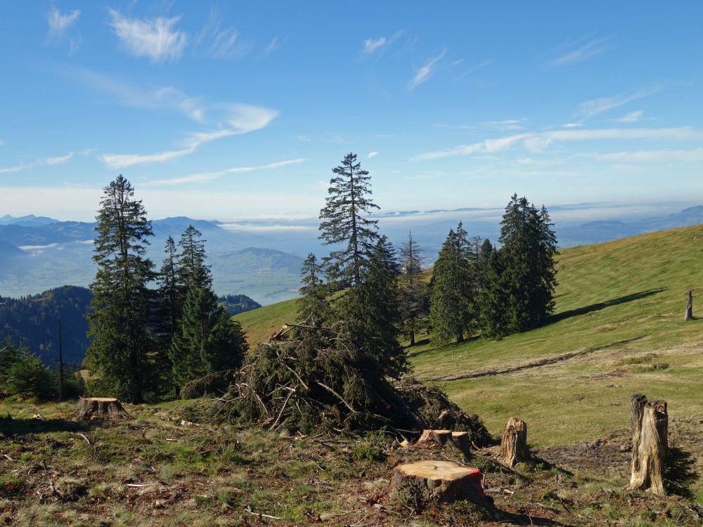 Landschaft bei Oberhohwald