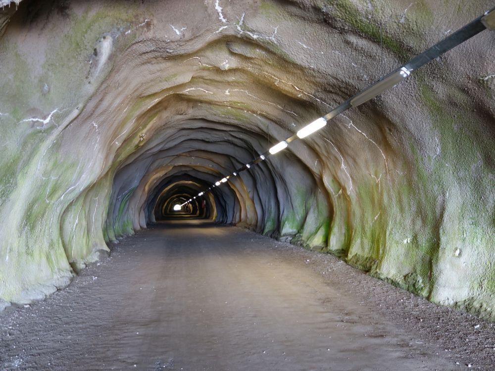 Skitunnel (476m)