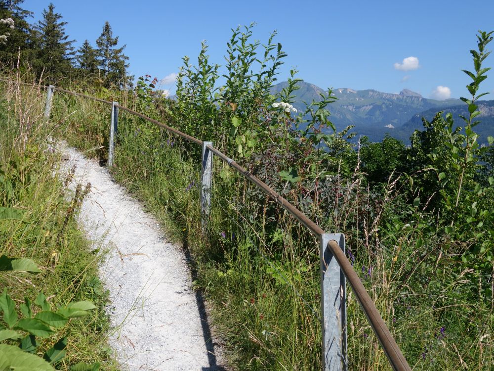 Bergweg bei Zwirgi