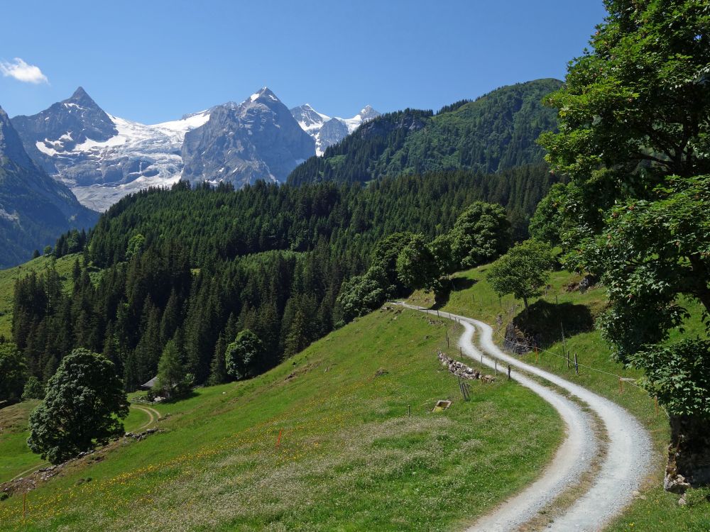 Bergweg mit Dossen und Wellhorn