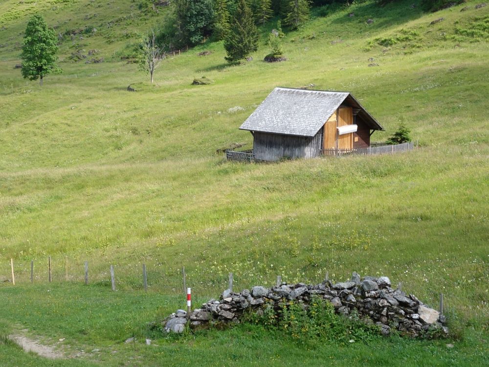 Hütte auf Isetwald