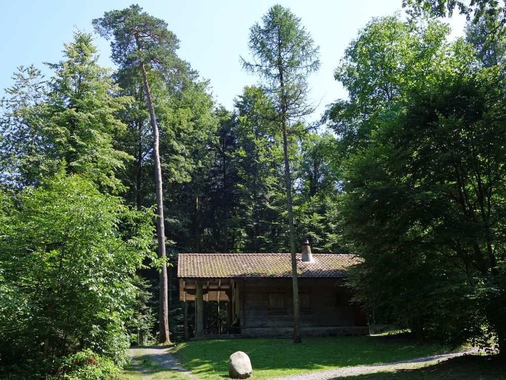 Hütte im Gütschwald