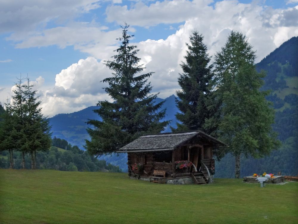 Hütte bei der Neuberg Alm
