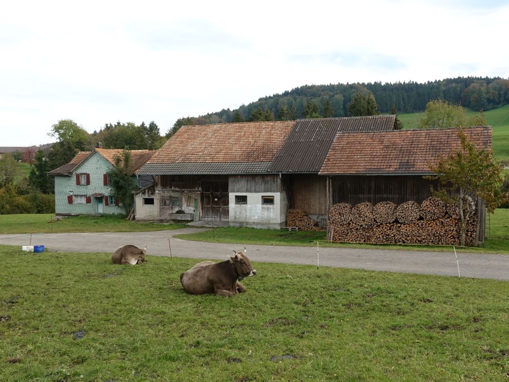 Bauernhof in Oetwil