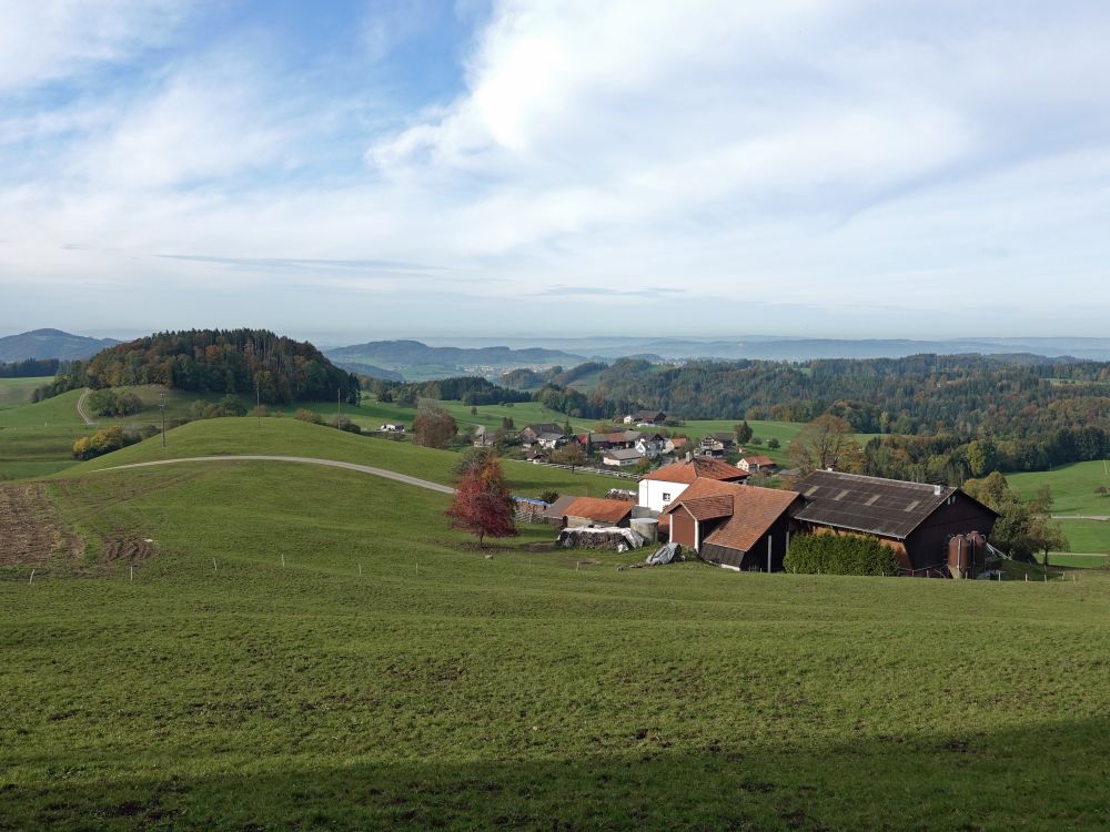 Blick auf Neuhof und Oetwil