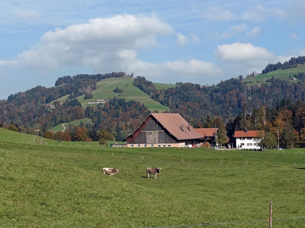Bauernhof Hinter Gubel
