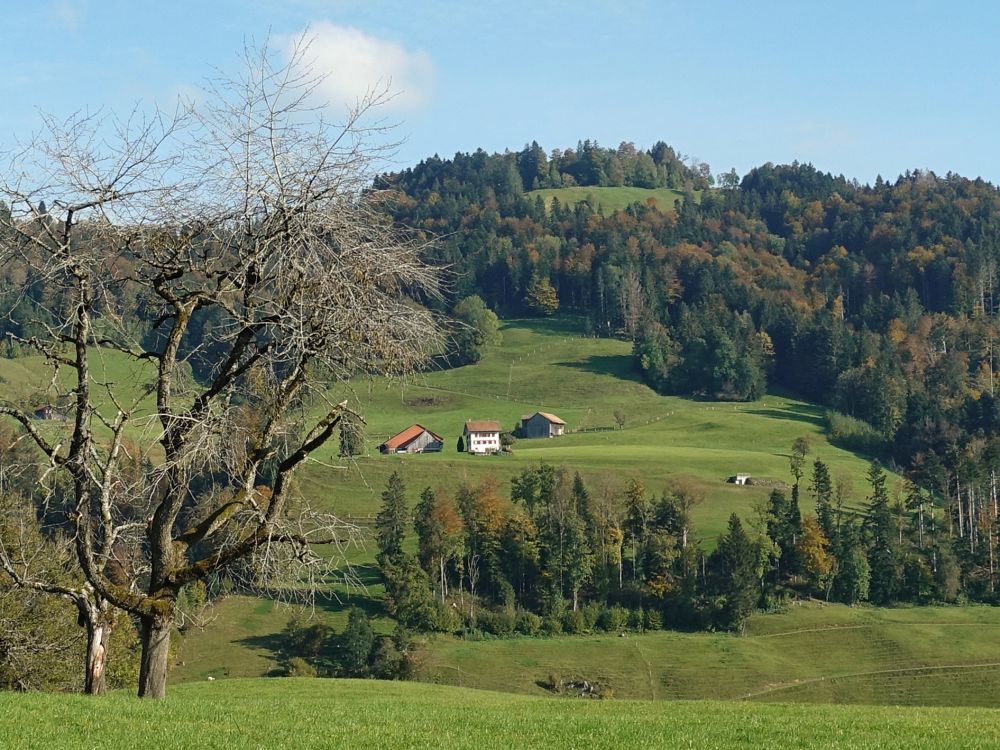Bauernhof Leeberg