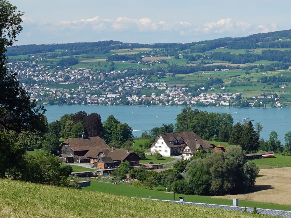 Alti Bocken und Zürichsee