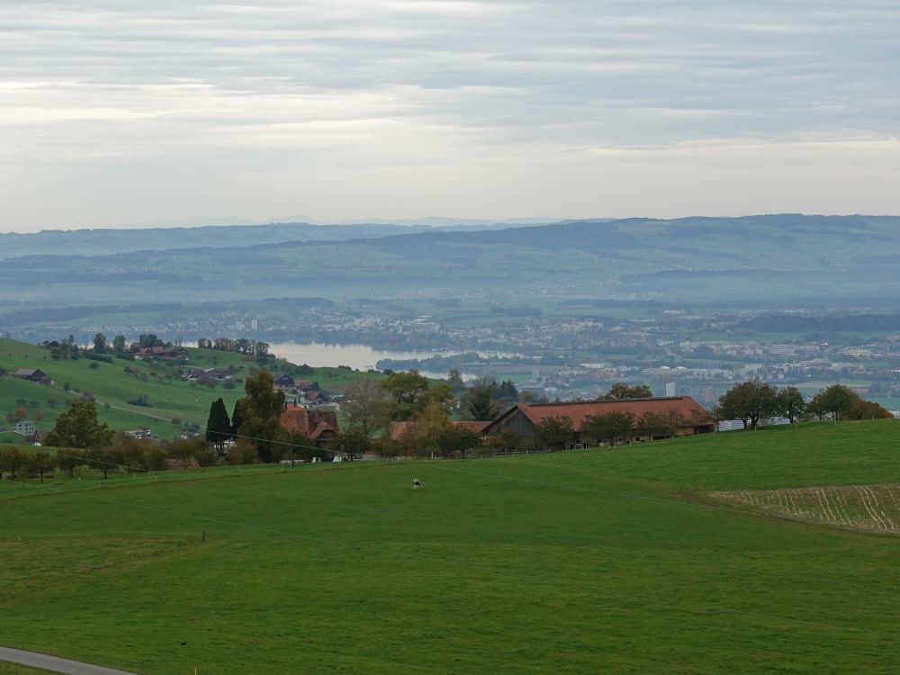 Blick über Bergli zum Zürichsee