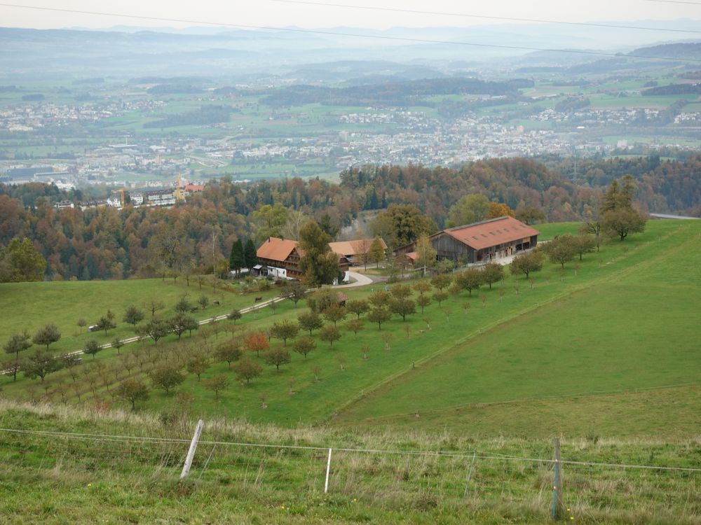 Bauernhof Bergli