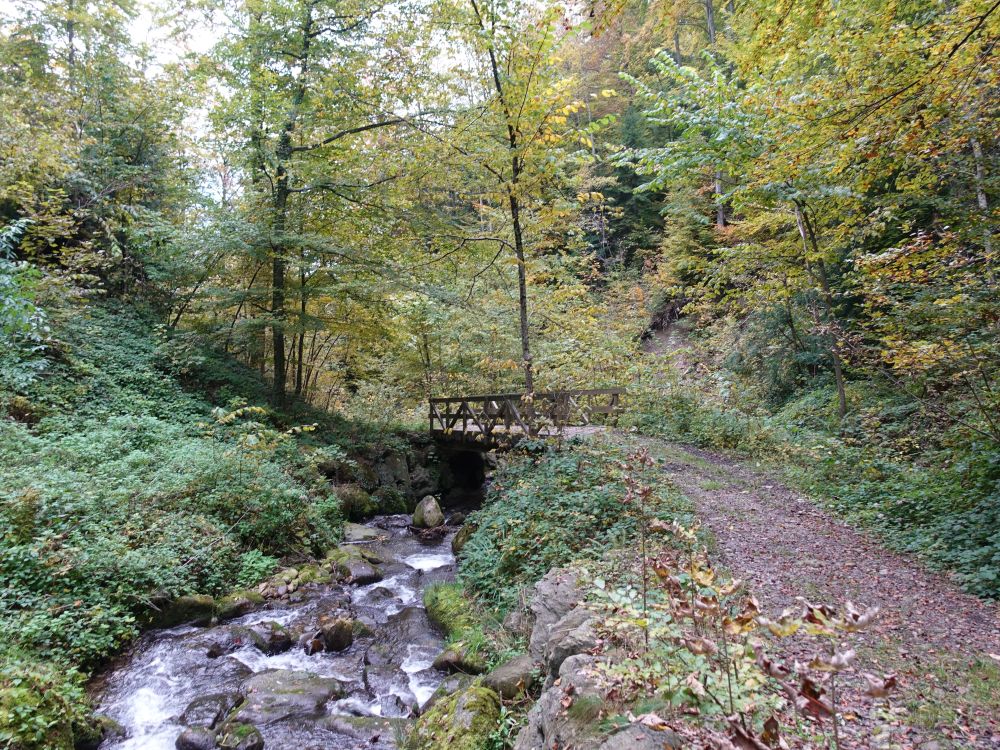 Brücke am Höllbach