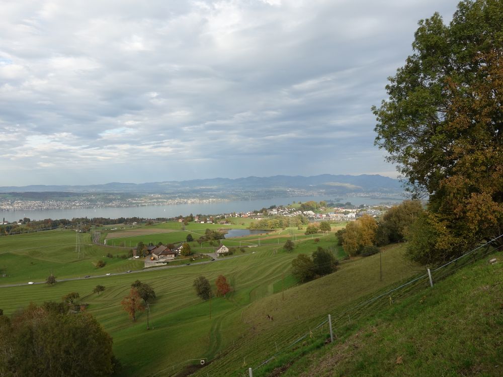 Freyenweijer und Zürichsee (Heimfahrt)