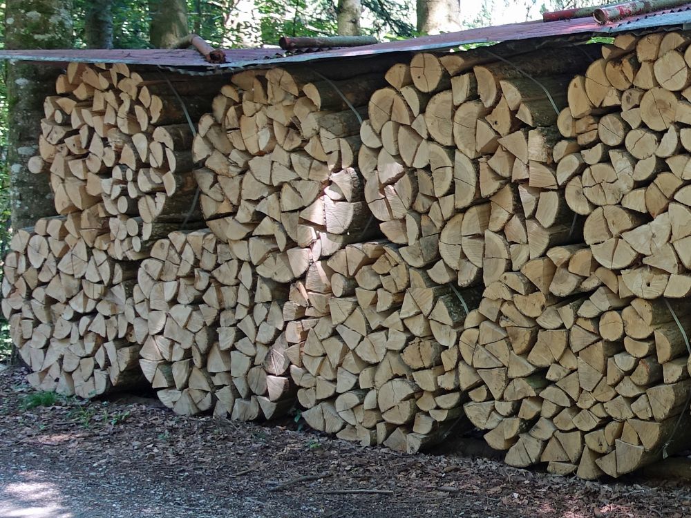 runder Holzstapel