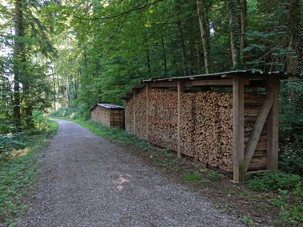 Holzstapel im Haldenholz
