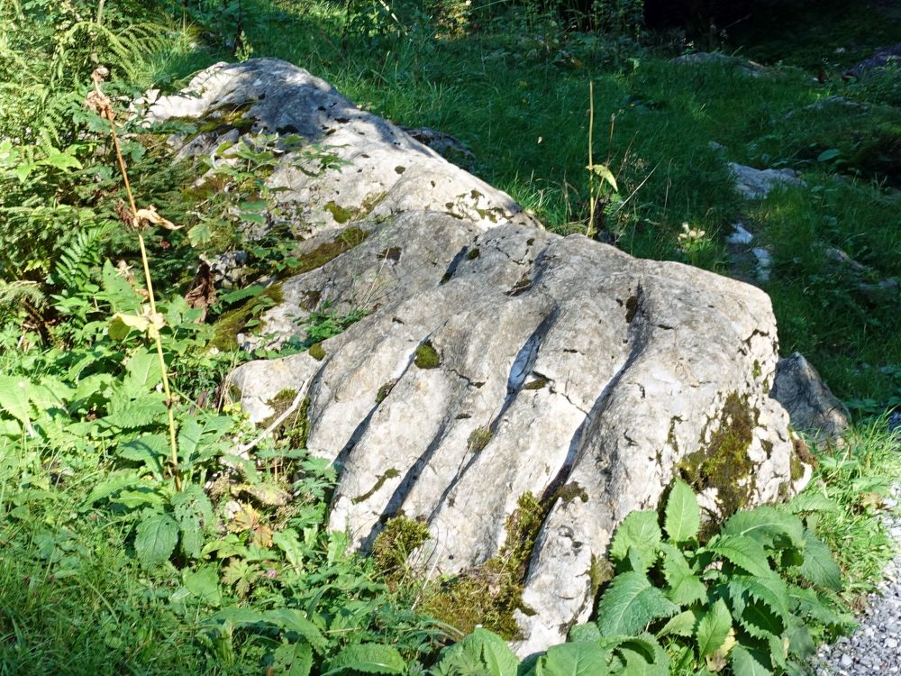 steinerne Hand
