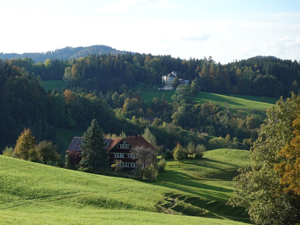 Blick zum Nieschbergwald