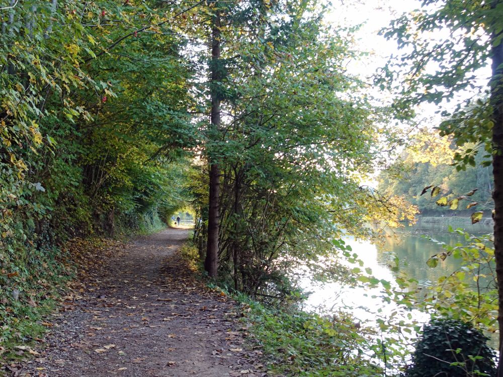 Uferweg am Gübsensee