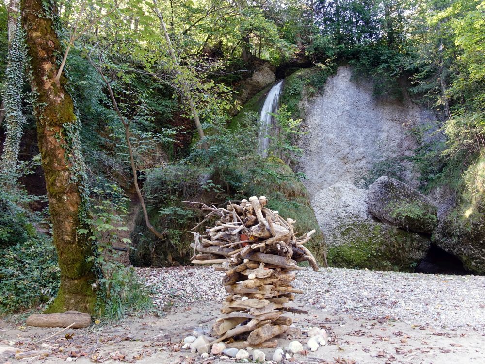 Treibholz und Wasserfall