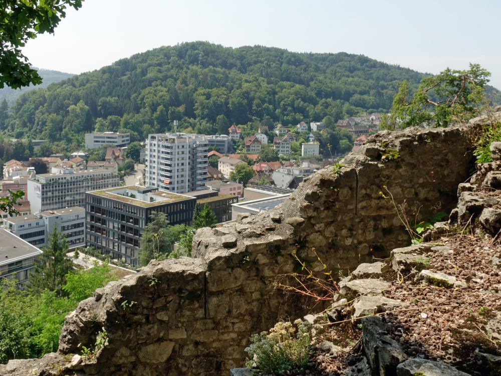Blick von Ruine Stein