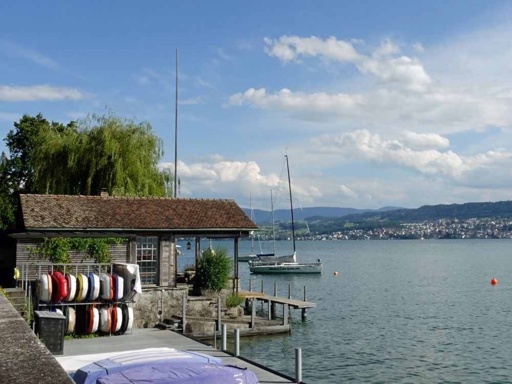 Seeufer Zürichsee
