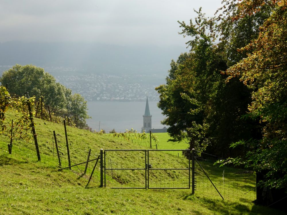 Zürichsee mit Kirchturm von Stäfa