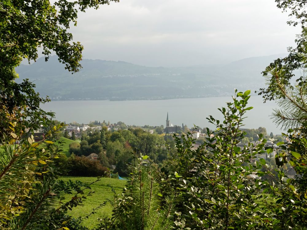 Stäfa am Zürichsee