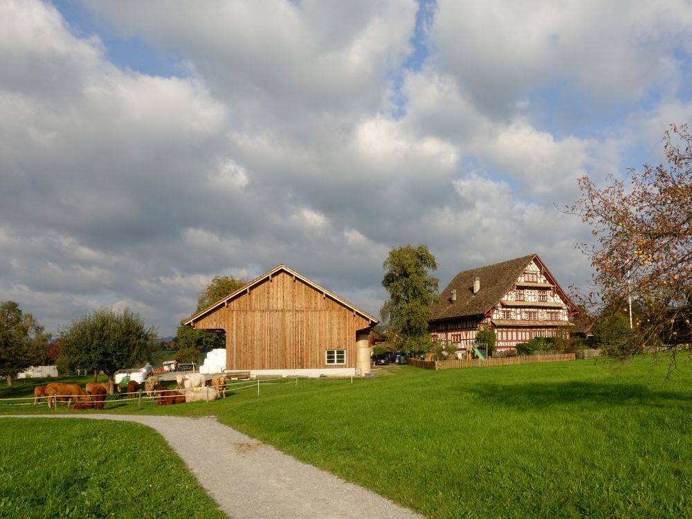 Bauernhof Lutikon