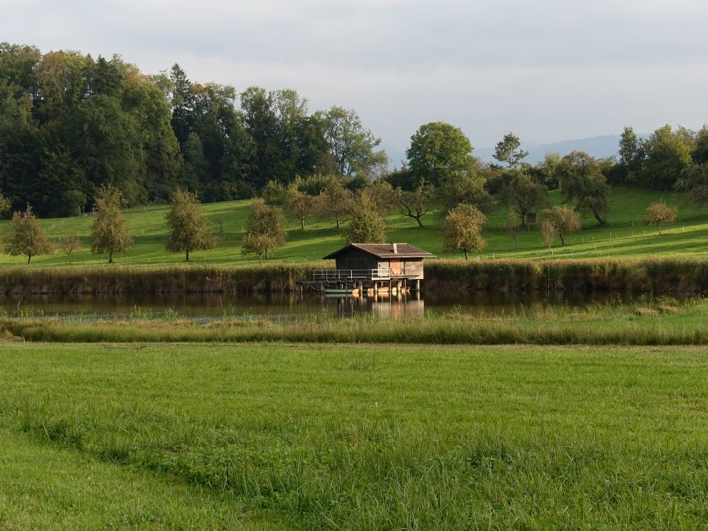 Hütte am Lützelsee