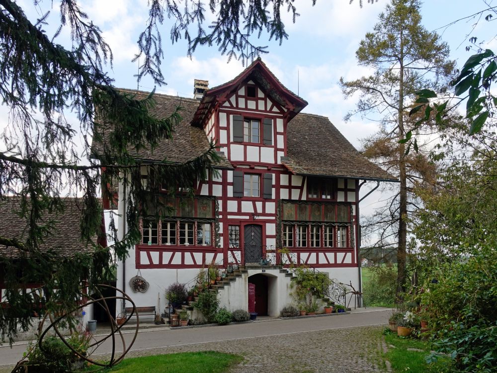 Haus in Lützelsee