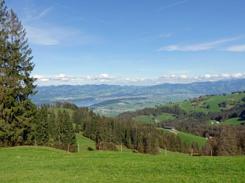 Obersee (Zürichsee) und Berge des Toggenburg