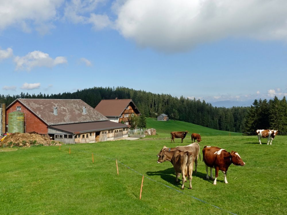 Bauernhof am Höch Hirschberg