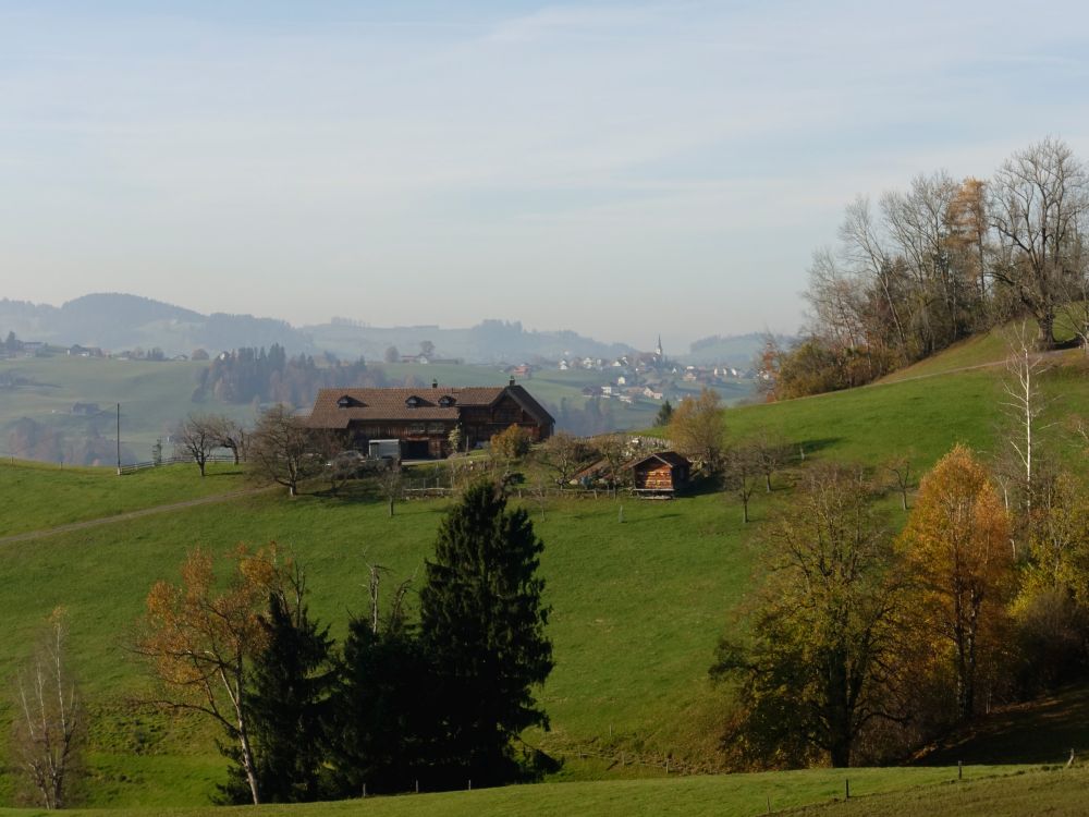 Bauernhof Büel und Stein im Hintergrund