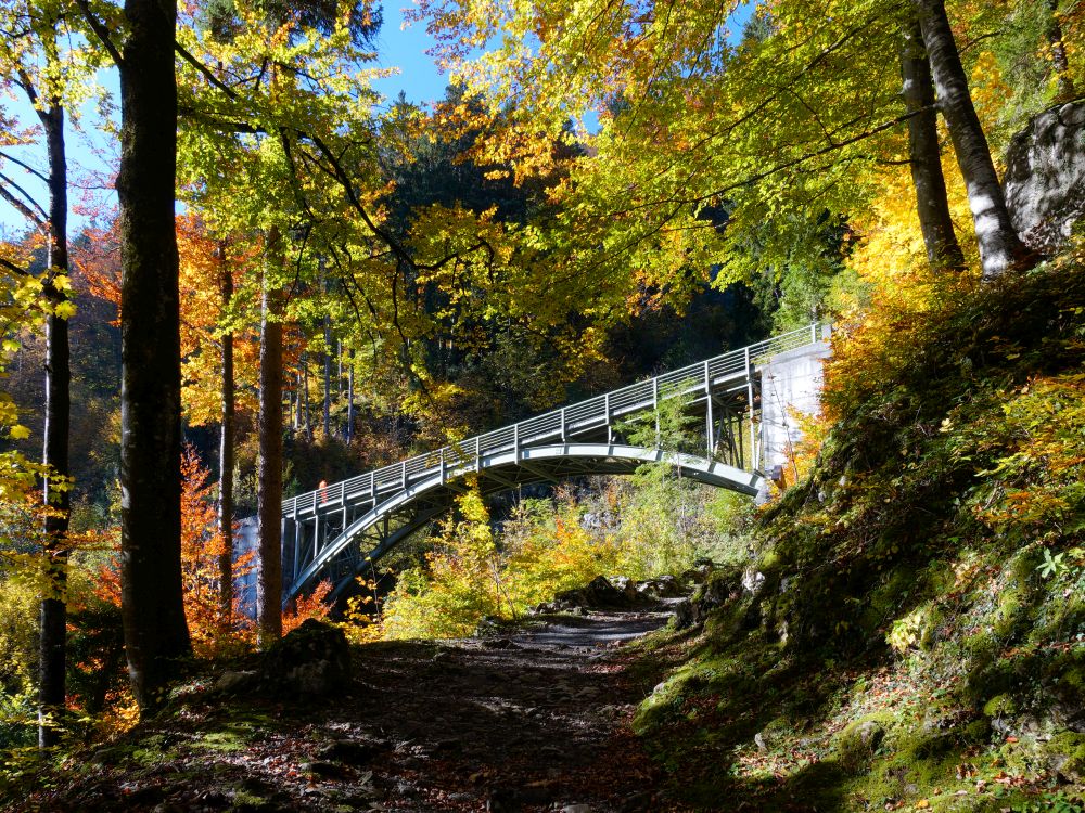 Brücke im Herbstwald
