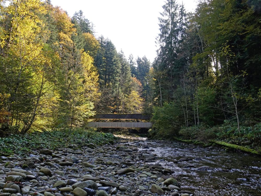Bedachte Holzbrücke über Necker