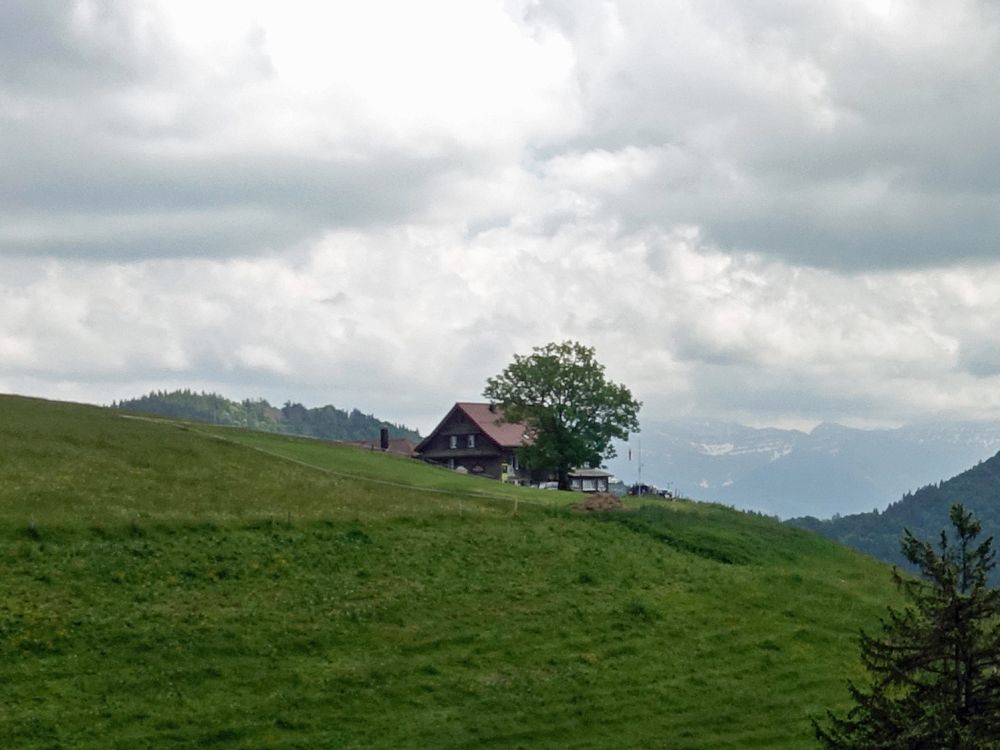 Gasthaus Alp Scheidegg
