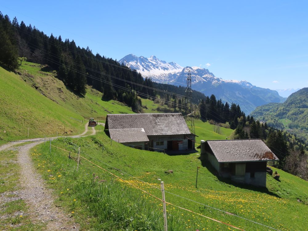 Blick vom Obwalder Höhenweg auf Berner Alpen