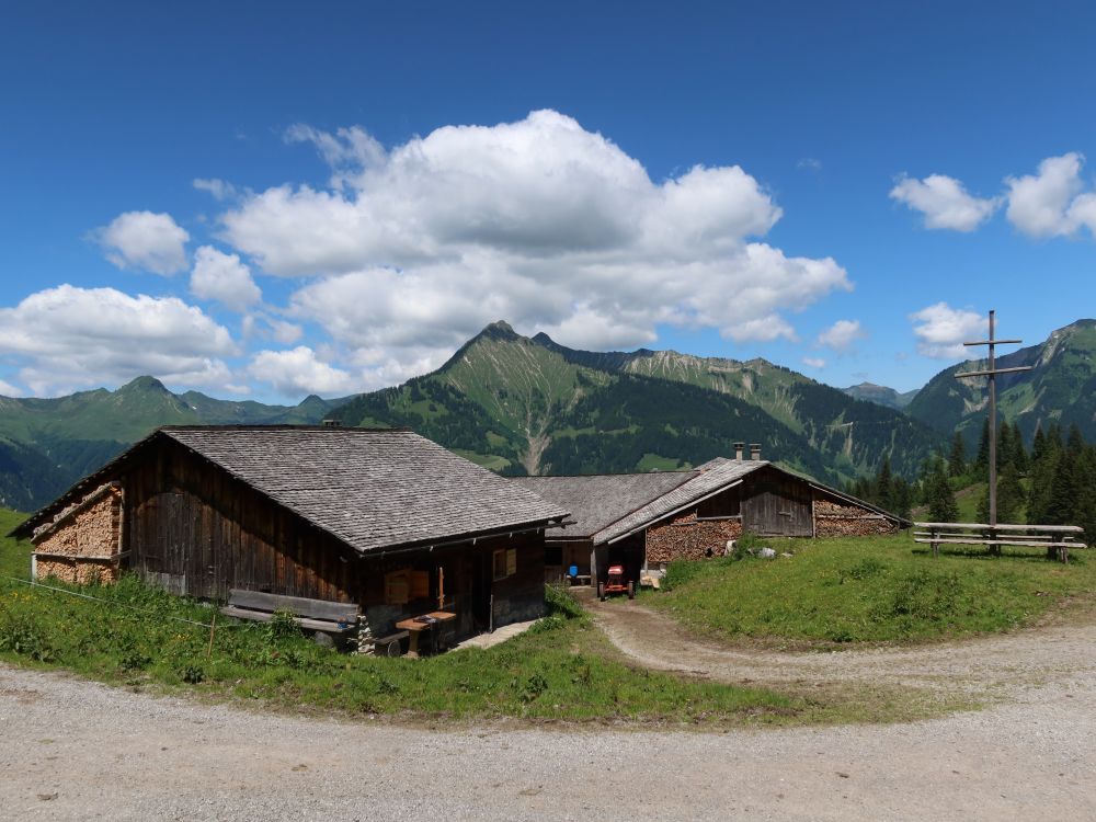 Alpe Steris mit Türtschhorn
