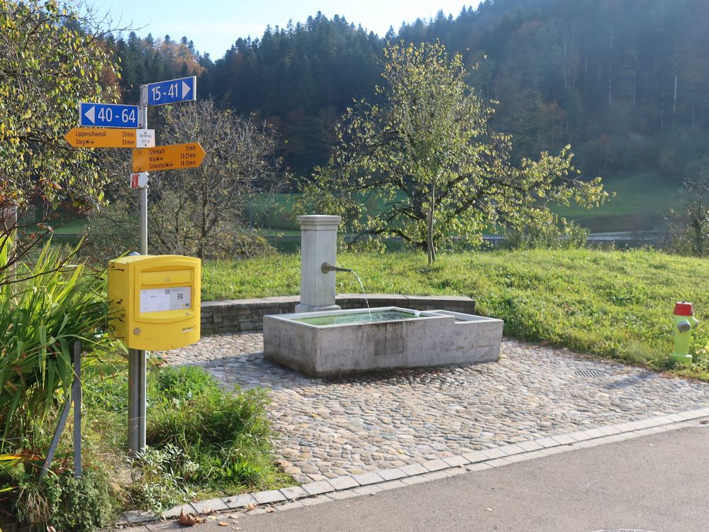 Brunnen in Wellenau