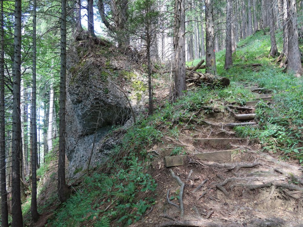 steiler Abstieg im Kronbergwald