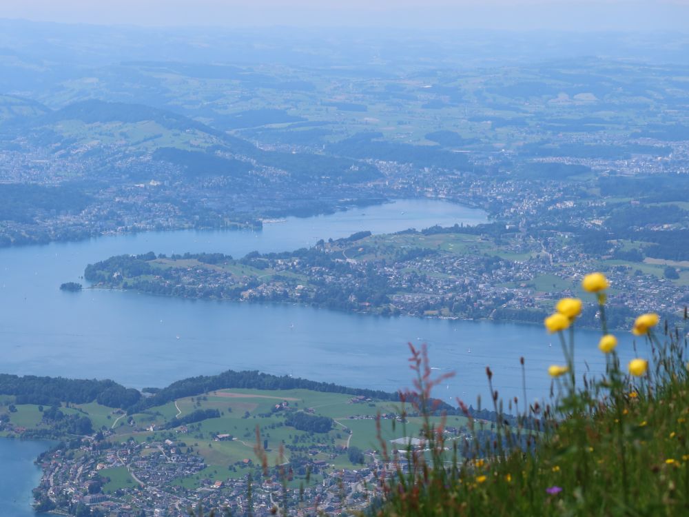 Blick auf Luzern