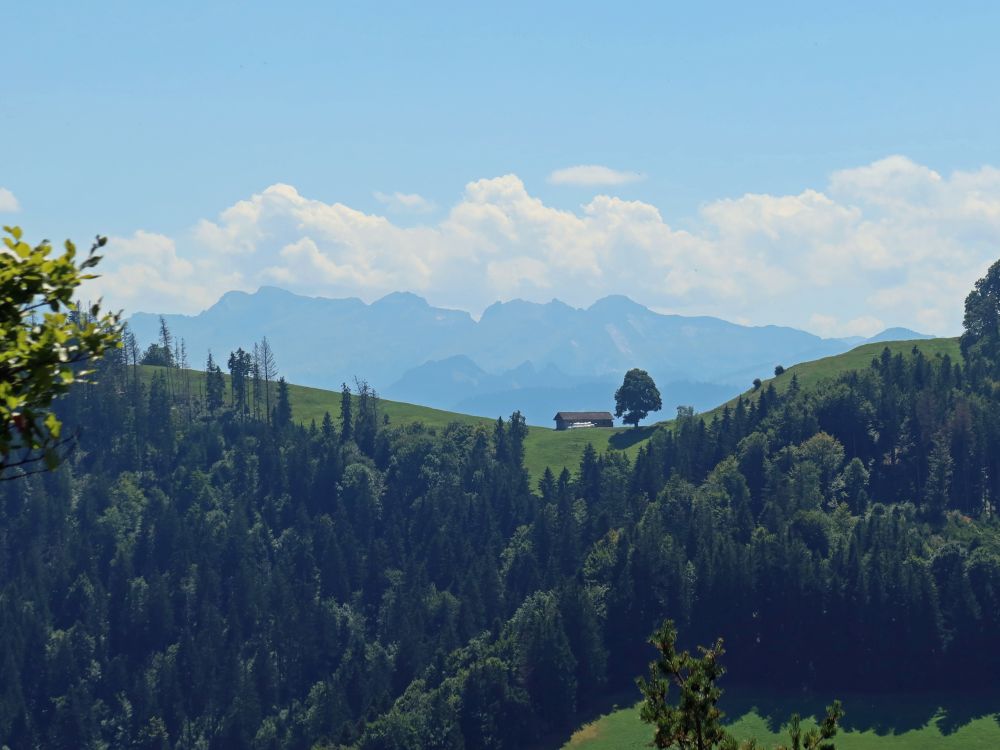 Blick über Köbelisberg auf Glarner Alpen