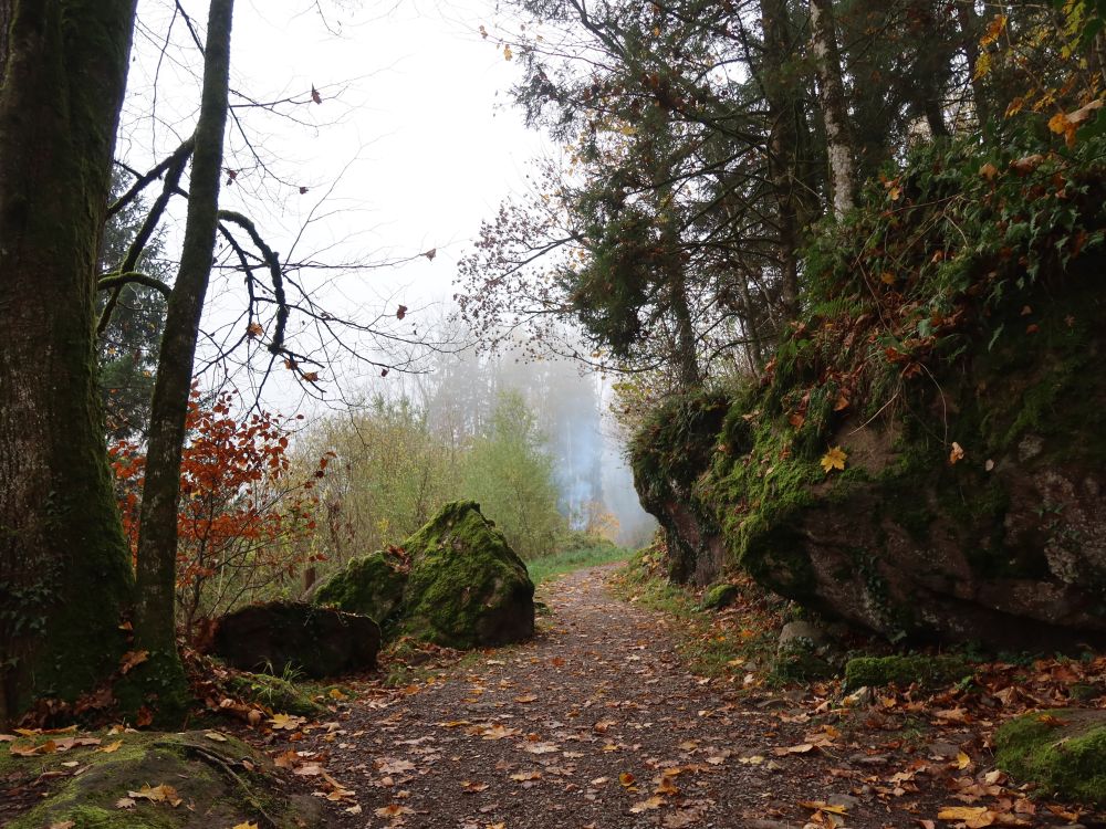 Waldweg zwischen Felsen