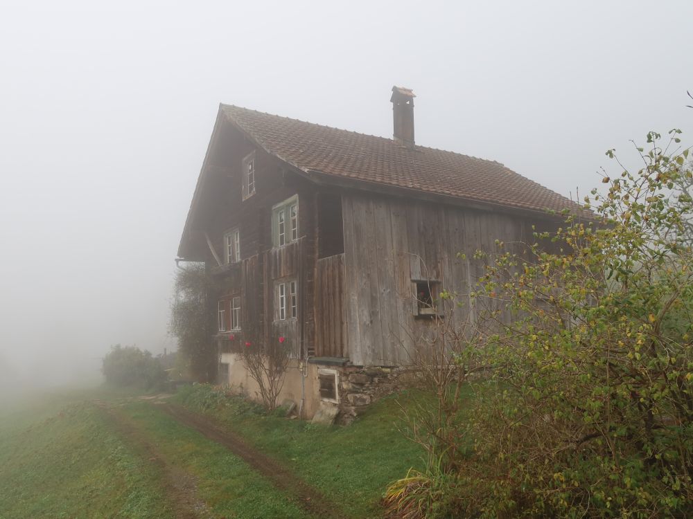 Holzhaus im Nebel